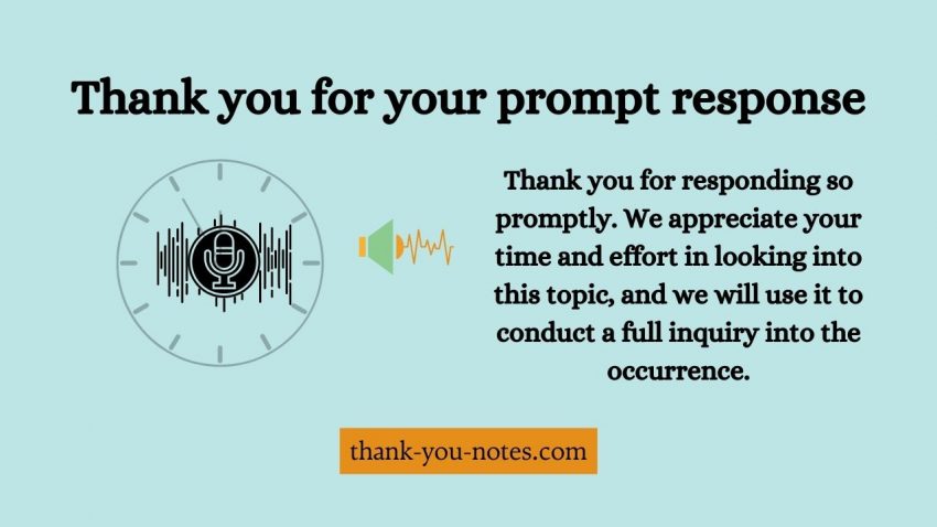 thank-you-for-your-prompt-reply