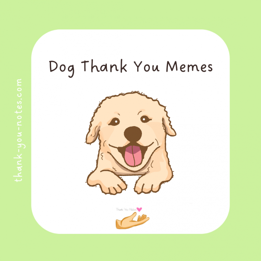 Dog Thank You Memes