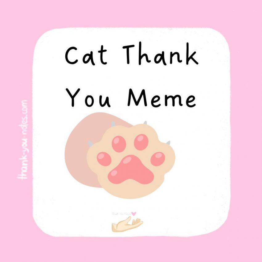 cat thank you meme