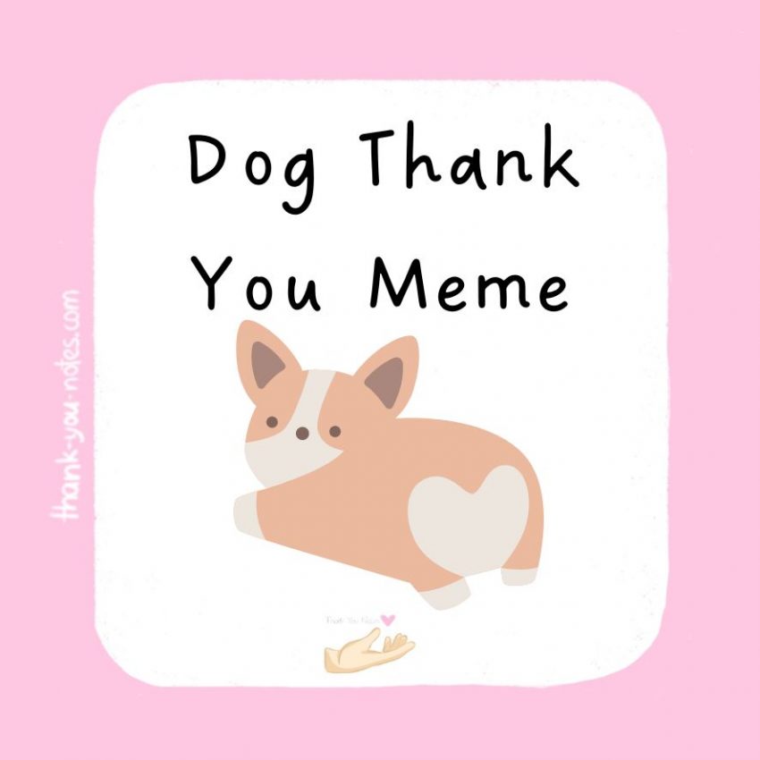dog thank you meme