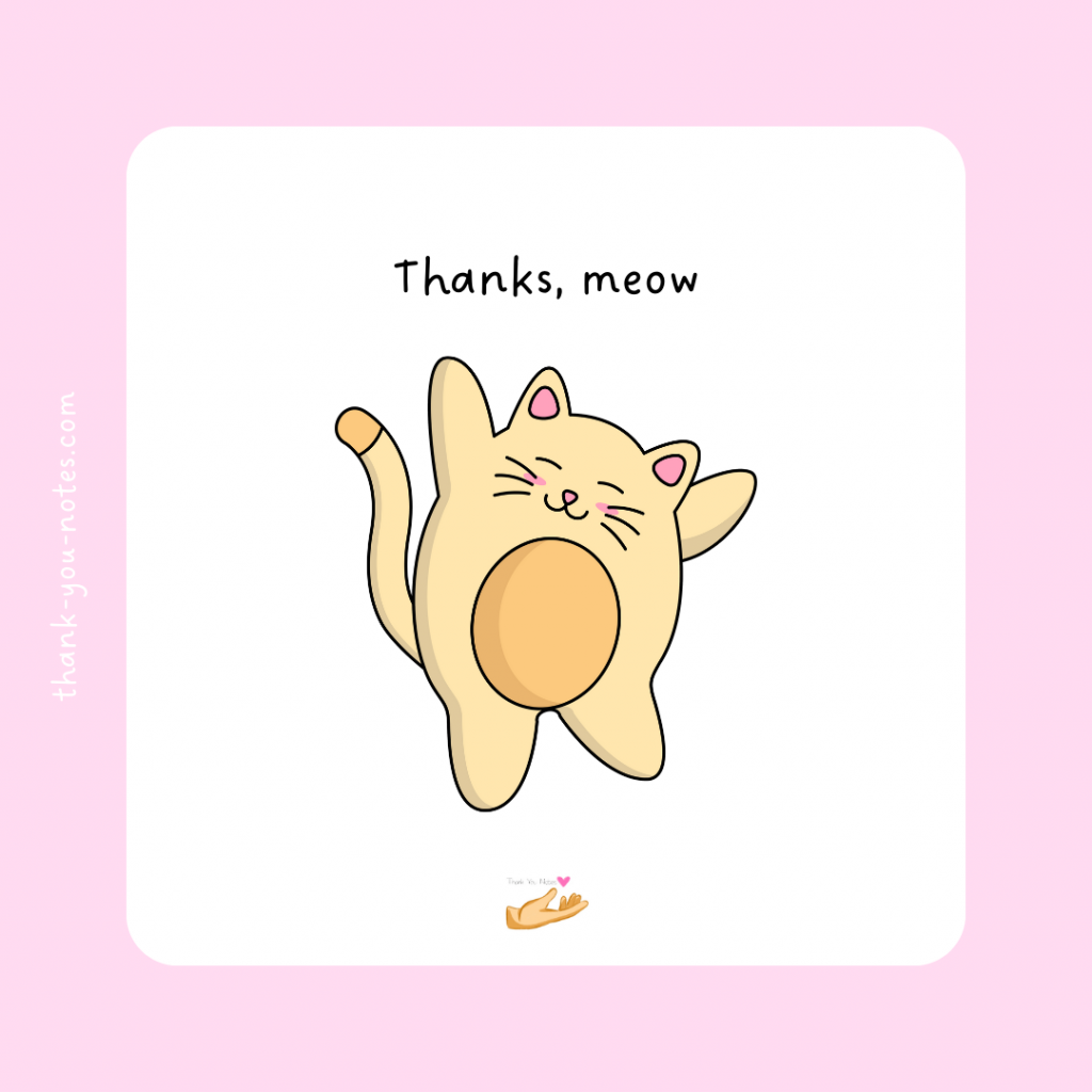cat thank you memes
